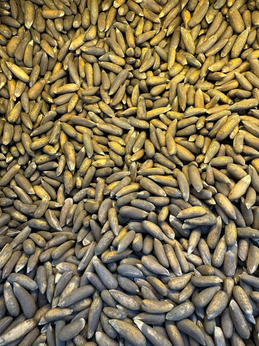 Afghan Pine Nut (32.99/lb)